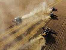 В Кремле оценили возможный запрет на импорт российского зерна