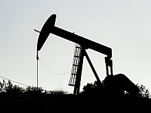 Министры ОПЕК+ поддержали решение увеличить добычу нефти на 400 тыс. б/с в декабре