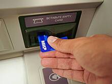 В Совфеде призвали при возвращении Visa открывать возможности для системы «Мир»