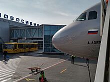 Названы семь городов мира, куда из Новосибирска лететь дороже всего