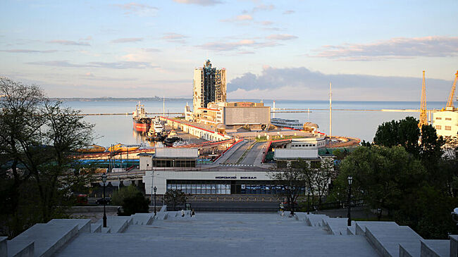 Профессор рассказал, в каком случае Россия расширит территориальные претензии на Украине