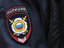 В Петербурге задержали участника ДТП на пешеходном переходе