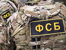 Россиянина задержали за подготовку диверсии на подстанции