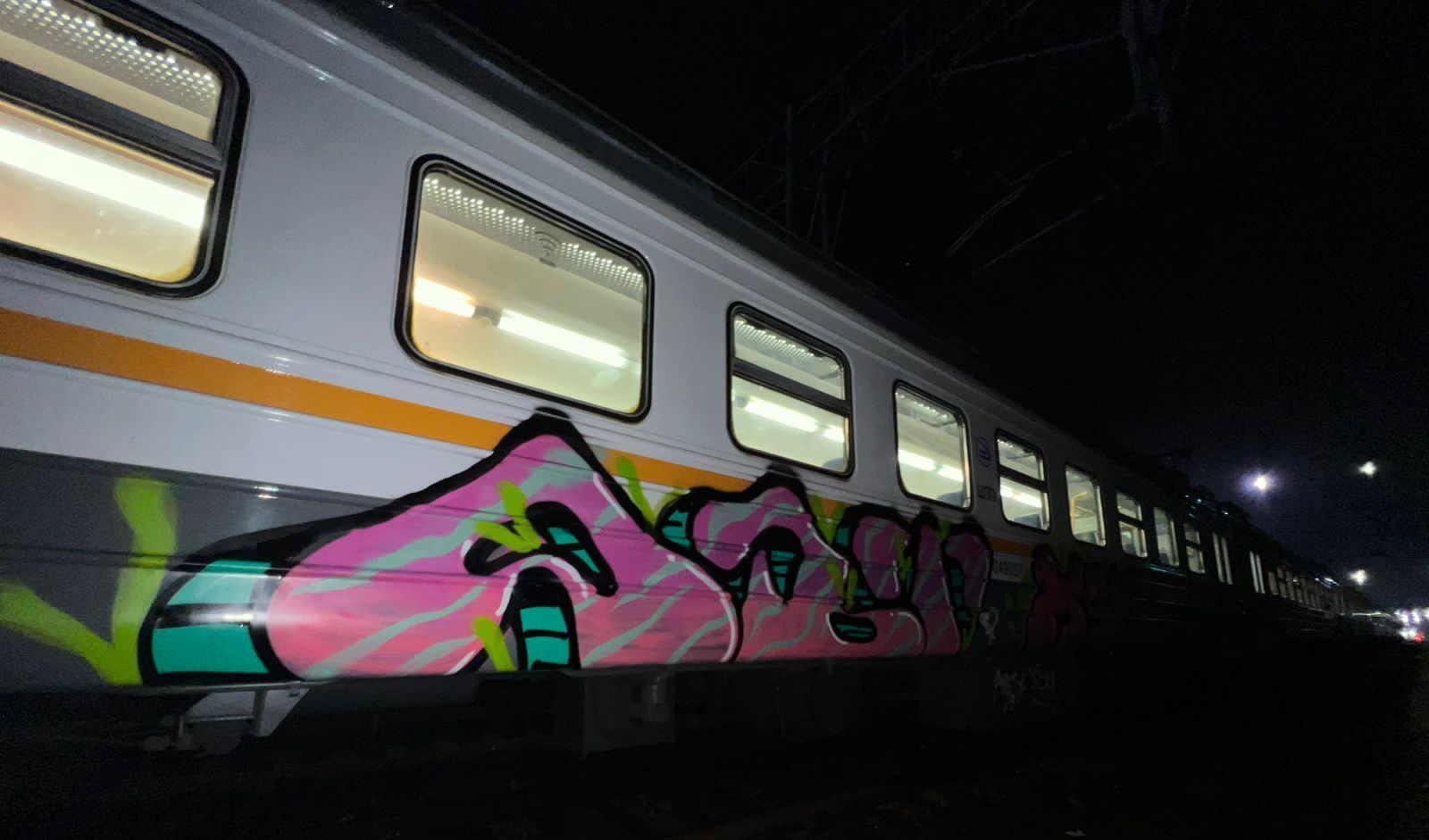 В Подмосковье за нанесение граффити на вагоны поезда задержали трех человек