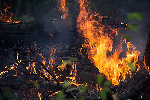Две сестры сгорели в вологодском селе