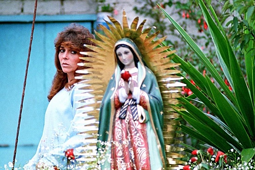 Звезда "Дикой Розы" Вероника Кастро объявила о возвращении в кино