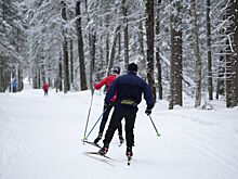 Лыжные соревнования «Гонка Легкова» пройдут в Москве 13 февраля