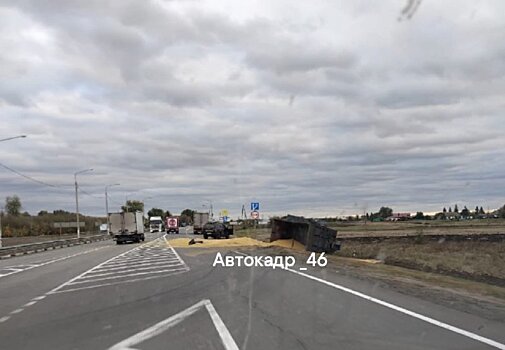 Под Курском перевернулась фура с зерном