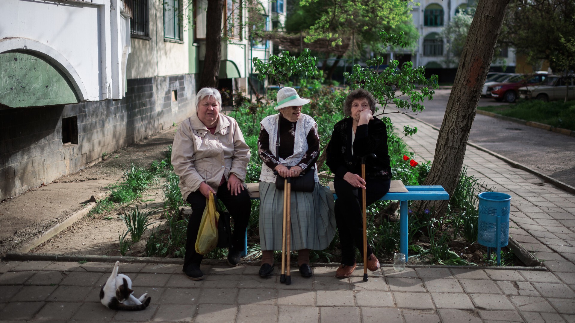 В России может появиться звание Бабушка-героиня