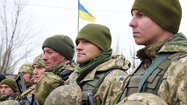 Украинский политолог Джангиров высмеял планы Киева в борьбе с Россией