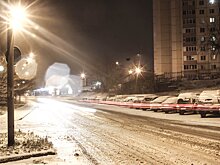 В Московской области реализуется проект «Зима в Подмосковье»