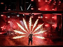 В Вене сотни человек вышли на акцию против концертов Rammstein