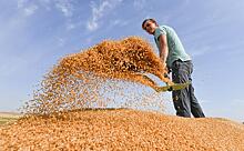 Еврокомиссия призвала все стороны продлить зерновую сделку
