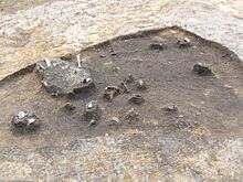 Женщина или подросток? В древнем кургане в Омской области найдено нетронутое захоронение