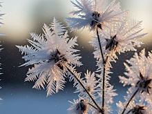 Синоптик спрогнозировал в Московской области 30-градусные морозы