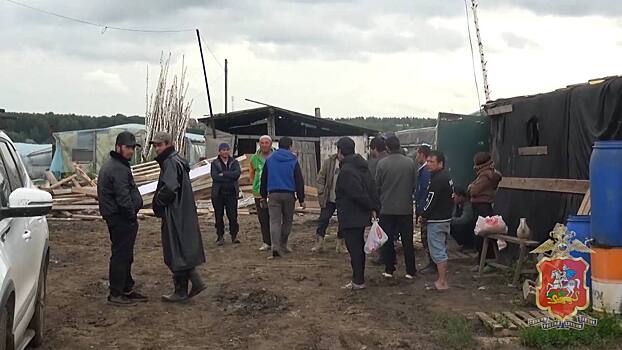 Полицейские выявили нелегальных мигрантов, работающих в тепличном комплексе