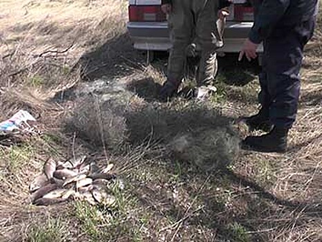 В Оренбуржье задержаны восемь браконьеров