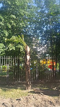 Сухие ветки дерева обрезали на улице Трофимова