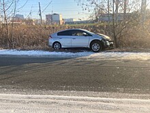 Подросток разбил авто об дерево и травмировал пассажирку во Владивостоке