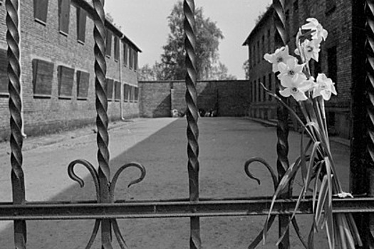 Пережившие Холокост рассказали о жестоких уловках нацистов