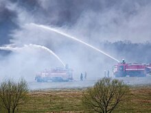 Столичные власти не ожидают сильной жары и лесных пожаров
