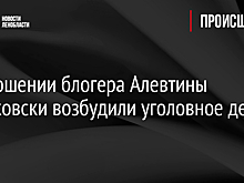 В отношении блогера Алевтины Фальковски возбудили уголовное дело