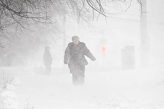 Москвичам рассказали о погоде на следующей неделе