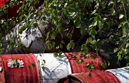 Житель Ямала нашел в лесу более четырех бочек с горючим