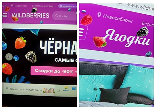 «Выглядит более хайпово» – новосибирский бизнесмен Илья Сухарев оценил новое название Wildberries