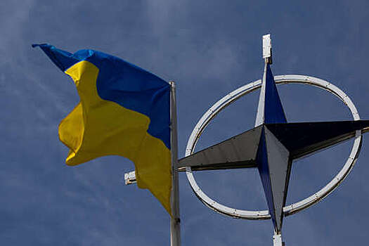 Reuters: Украина просит приглашения в НАТО до завершения президентства Байдена
