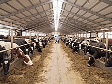 В Тверь приехал заместитель председателя правительства РФ Алексей Гордеев