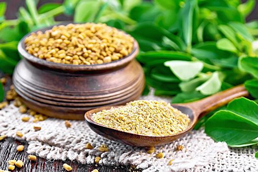 Пажитник: польза и вред для организма мужчин, женщин, противопоказания