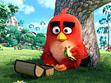 Разработчик игры Angry Birds оценивает свою капитализацию перед IPO в почти 900 млн евро