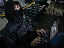 Миллионы на «дыры»: Сколько компании РФ потратили на белых хакеров