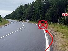 В Коми не стали сажать пенсионера, который загубил супругу в ДТП
