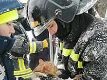 Люди с большим сердцем почему спасатели, пожарные и операторы становятся добровольцами