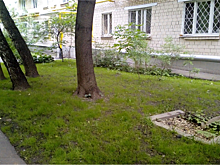 По просьбам жителей района выполнены ремонтные работы на Минусинской, 8 и в Анадырском проезде, 69