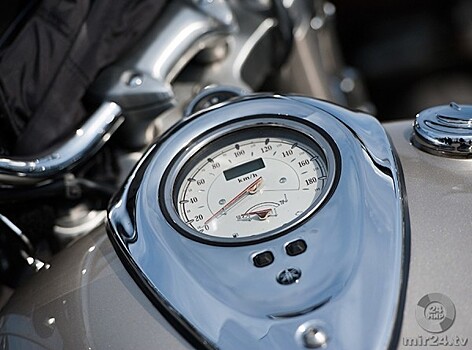 Фазан выскочил на дорогу и убил британского мотоциклиста