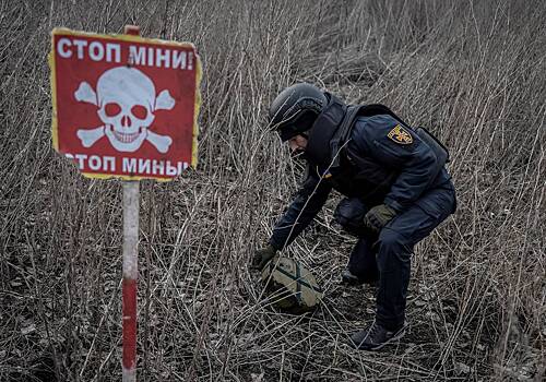Экс-министр обороны Украины заявил о двух миллионах мин на территории страны