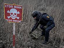 Экс-министр обороны Украины заявил о двух миллионах мин на территории страны