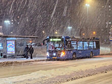 В Москве за сутки выпало 20% месячной нормы осадков