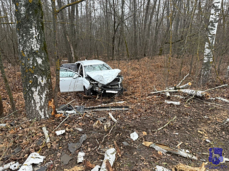 Один человек погиб: стали известны подробности массовой аварии 25 ноября в Самарской области