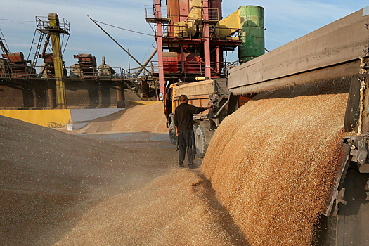 Египет импортировал в этом сезоне уже более 7 млн тонн зерна из России