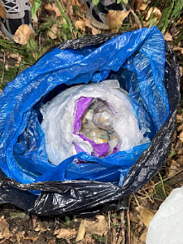 В Ставропольском крае полицейские задержали оптового «закладчика» наркотиков