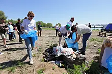 При поддержке комитета ГД по экологии в Подмосковье прошла акция «Особенности национальной уборки»