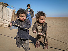 США не собираются помогать Асаду восстанавливать Сирию