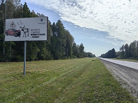 Калужская область на втором месте по числу ДТП с лосями в 2025 году