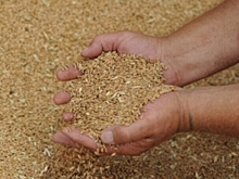 Волгоградский предприниматель недостоверно задекларировал 120 тонн пшеницы