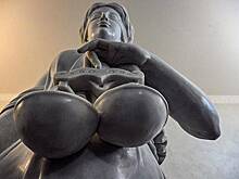 Проживающая в России гражданка Евросоюза попала в колонию из-за трех комментариев