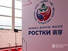 В Уфе на форум России и Казахстана зарегистрировались более 400 участников